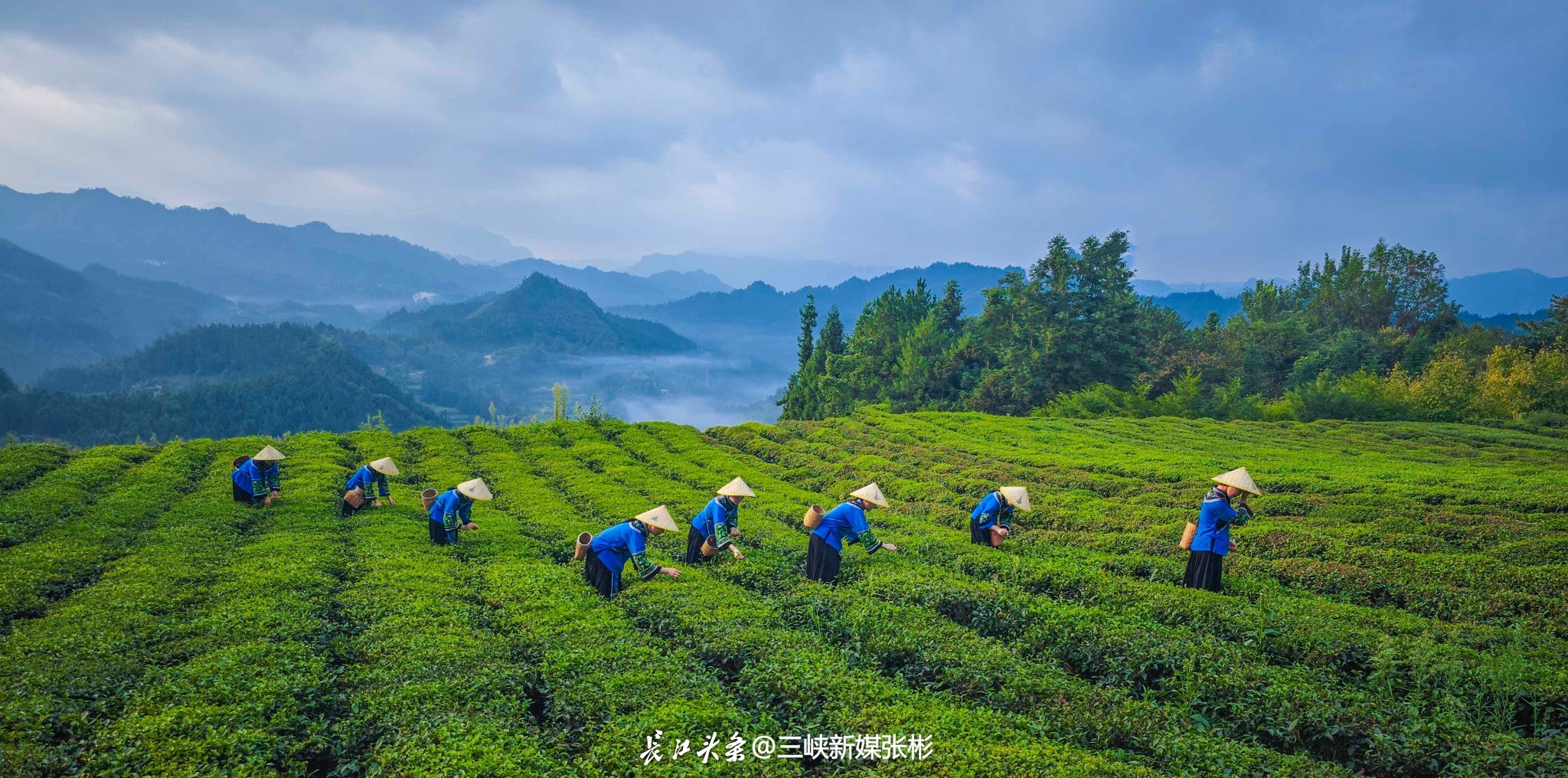 张彬18972555880 (8).jpg