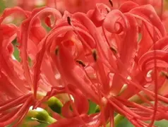 http://oss.cjn.cn/images/20240921/1726928474382a591faef-f61b-41dd-b6f7-df8c021165a5.jpg