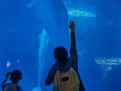 http://oss.cjn.cn/images/20241017/1729120719859502f9270-81ce-41c0-a508-07517711eab5.jpg