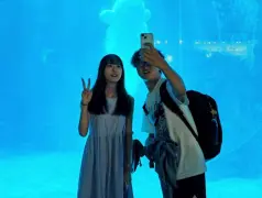 http://oss.cjn.cn/images/20241017/172912072935260c256ed-4517-478f-b5f8-4fbaec02cc01.jpg