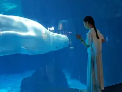 http://oss.cjn.cn/images/20241017/17291207322873d57c21e-2f4e-43e3-adc2-fbc95f918b1f.jpg