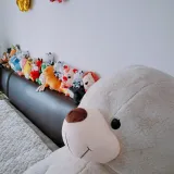 鱼不食草