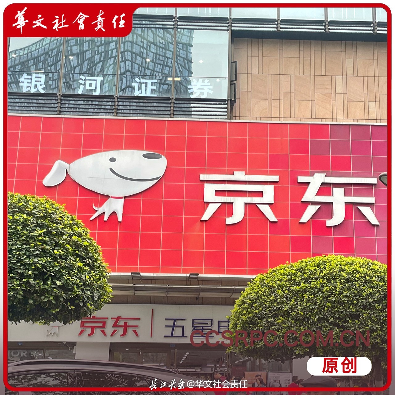 京东.jpg