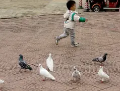 http://oss.cjn.cn/images/20241029/1730191838808892bc760-81a9-4b22-b8cb-ab09a9ee4d23.jpg