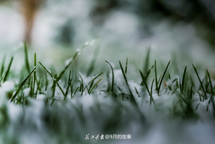 5a3aa0563b7ed.jpg