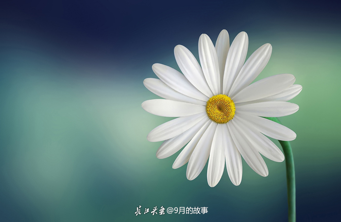 5a3b5e3e48b72.jpg
