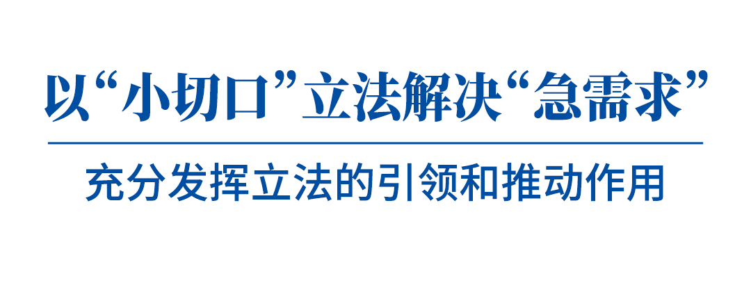 与人民同心 与时代同行 ——市人大常委会2024年工作回眸