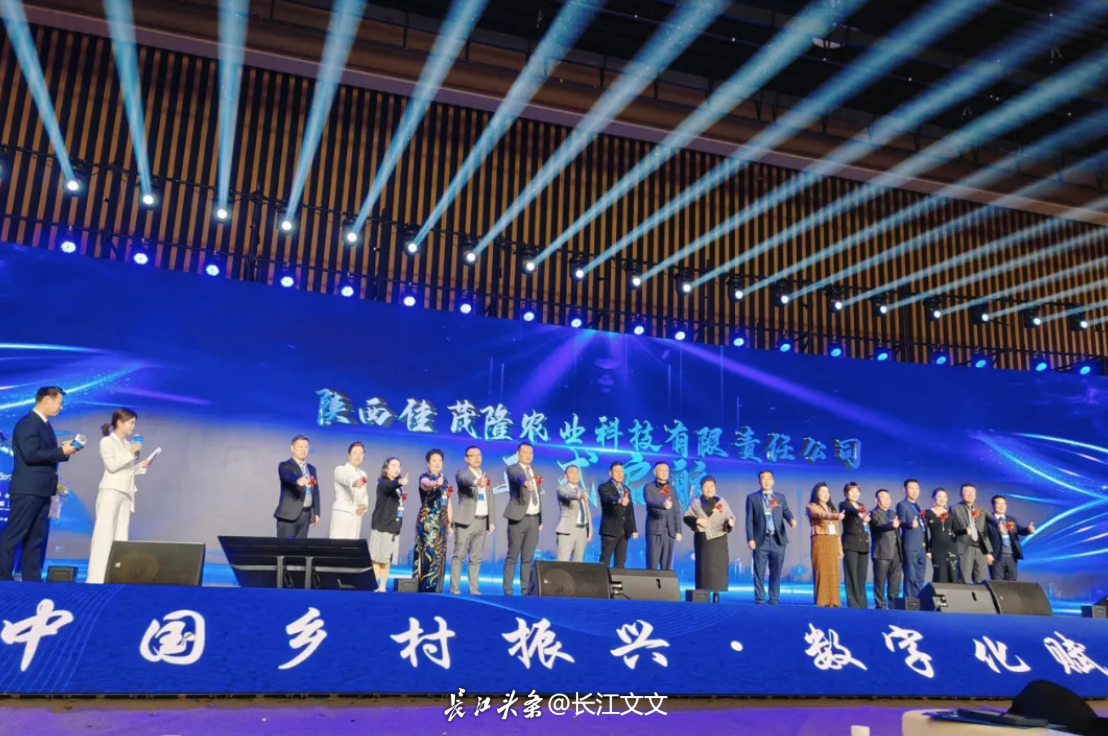 如图片无法显示，请刷新页面