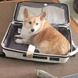 许汐汐
