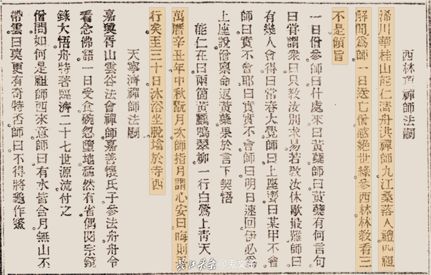 济舟禅 拷贝.png