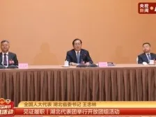 聚焦两会·开放团组丨加快建成中部地区崛起重要战略支点，湖北怎-长江网