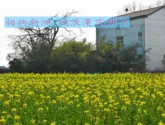 http://oss.cjn.cn/images/20250308/1741388149830e5b37d88-2a9c-461c-a0a3-8543cdc78138.jpg