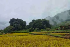 http://oss.cjn.cn/images/20250311/174166742921972f74635-9d61-4752-a2b4-b755a049d1b8.jpg