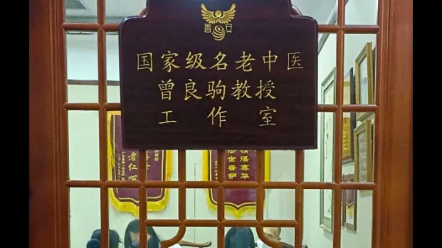 “312”植树节与曾良驹中医树人观：共筑生命之绿，培育健康之根