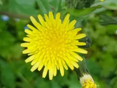 http://oss.cjn.cn/images/20250314/1741950330520f3aba95a-1a14-4c46-9fae-3a2b25056d04.jpg