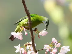 http://oss.cjn.cn/images/20250314/1741960011862caefa3b1-b135-4fb9-a069-c555344f0e48.jpg