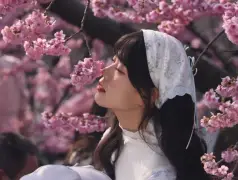 http://oss.cjn.cn/images/20250327/17430294909331a6581da-66cf-4e60-ac60-8d5e22f4d5d6.jpg