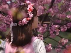 http://oss.cjn.cn/images/20250327/1743029492409af5bb0e9-fad5-49f5-adc5-ae5daf308d77.jpg