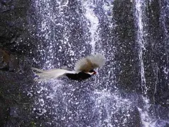 http://oss.cjn.cn/images/20250404/1743736330074a401384b-fec8-42ed-ba9d-f142db3ca64b.jpg