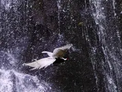 http://oss.cjn.cn/images/20250404/174373633508488a67635-b06e-42d2-a379-013a740b84bc.jpg