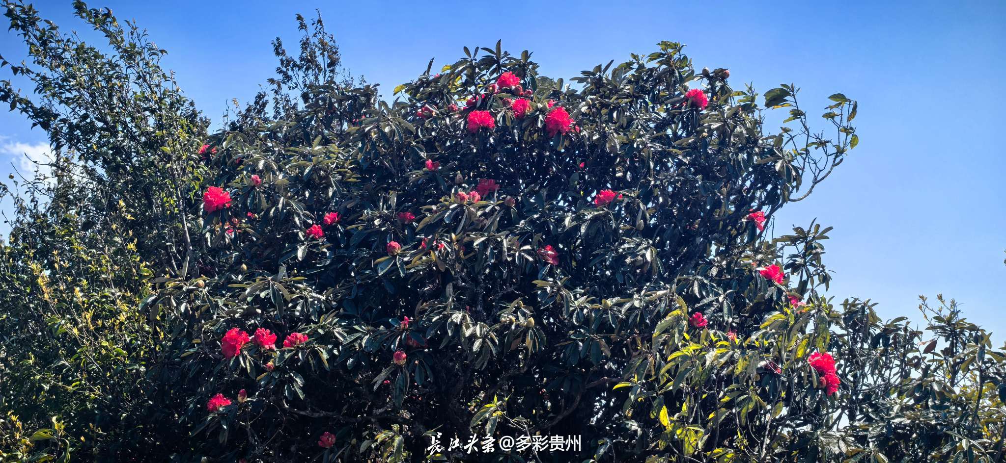 微信图片_20250404211749.jpg