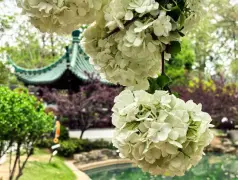 http://oss.cjn.cn/images/20250408/1744087135287ea6ddbb0-f67e-47a7-b5bd-9f1bfffd3ff5.jpg
