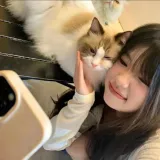 稀里呼噜