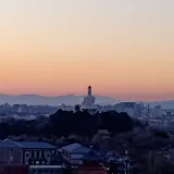 星星树洞吧