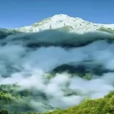 绿动地球