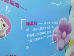 http://oss.cjn.cn/images/20250423/174536755223284337034-8e02-4dbe-99ce-6c73b4b73cc9.jpg