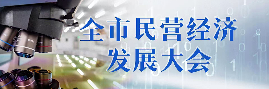 全市民营经济发展大会