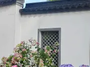 http://oss.cjn.cn/images/20250430/174600227774461bc061e-3e37-45d3-84bc-55f2c84bf433.jpg