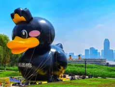 http://oss.cjn.cn/images/20250501/1746079807756c6a28938-f0db-4296-b162-feb05109f7dc.jpg