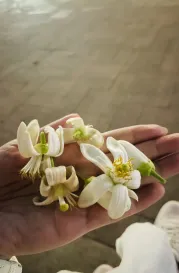 http://oss.cjn.cn/images/20250501/174608634122156d4079f-1c2c-415e-a9c6-2c82910379c3.jpg