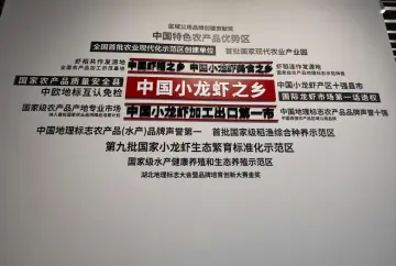 http://oss.cjn.cn/images/20250501/174609470081606569047-57df-47e5-9add-52b8bd427ce6.jpg