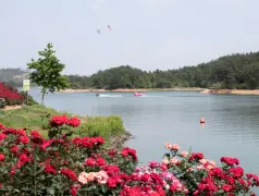 http://oss.cjn.cn/images/20250502/1746119391470e0ae0159-e2cf-46ec-b0a0-e5034aa46805.jpg