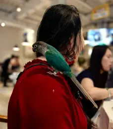 http://oss.cjn.cn/images/20250503/17462053411393183e67a-ca39-420c-9a56-742973ed5b5a.jpg