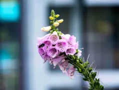 http://oss.cjn.cn/images/20250504/17463358183507b463c45-7b32-4ac2-bf9e-72e4eff0b778.jpg