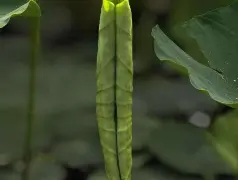 http://oss.cjn.cn/images/20250504/174634032761861d2e9d6-1b28-4b5f-9d12-b878e450163a.jpg