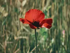 http://oss.cjn.cn/images/20250505/174643631783832c8fca6-ef29-4b9d-95bc-42b12f83d4f5.jpg
