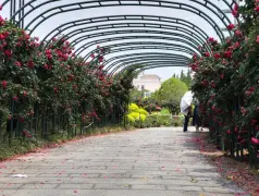 http://oss.cjn.cn/images/20250506/1746538883661fb5e98e8-b00e-4a46-934e-663335c59813.jpg