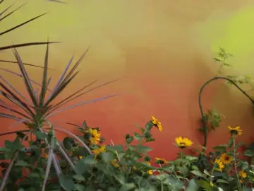http://oss.cjn.cn/images/20250508/1746658440342823d6bb0-796f-4de5-a54f-609167e9d995.jpg