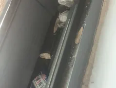 http://oss.cjn.cn/images/20250508/1746671105674db4870f3-d64d-4183-b36e-68cadbdfe8fa.png