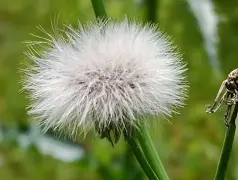 http://oss.cjn.cn/images/20250509/1746791412797fccfb8fa-4ff6-4f0b-a44d-d5ab9fc093e8.jpg