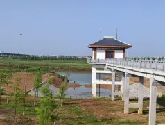 http://oss.cjn.cn/images/20250509/174679783355036e4373a-1a8b-45e5-b42e-c046dd76d25d.jpg