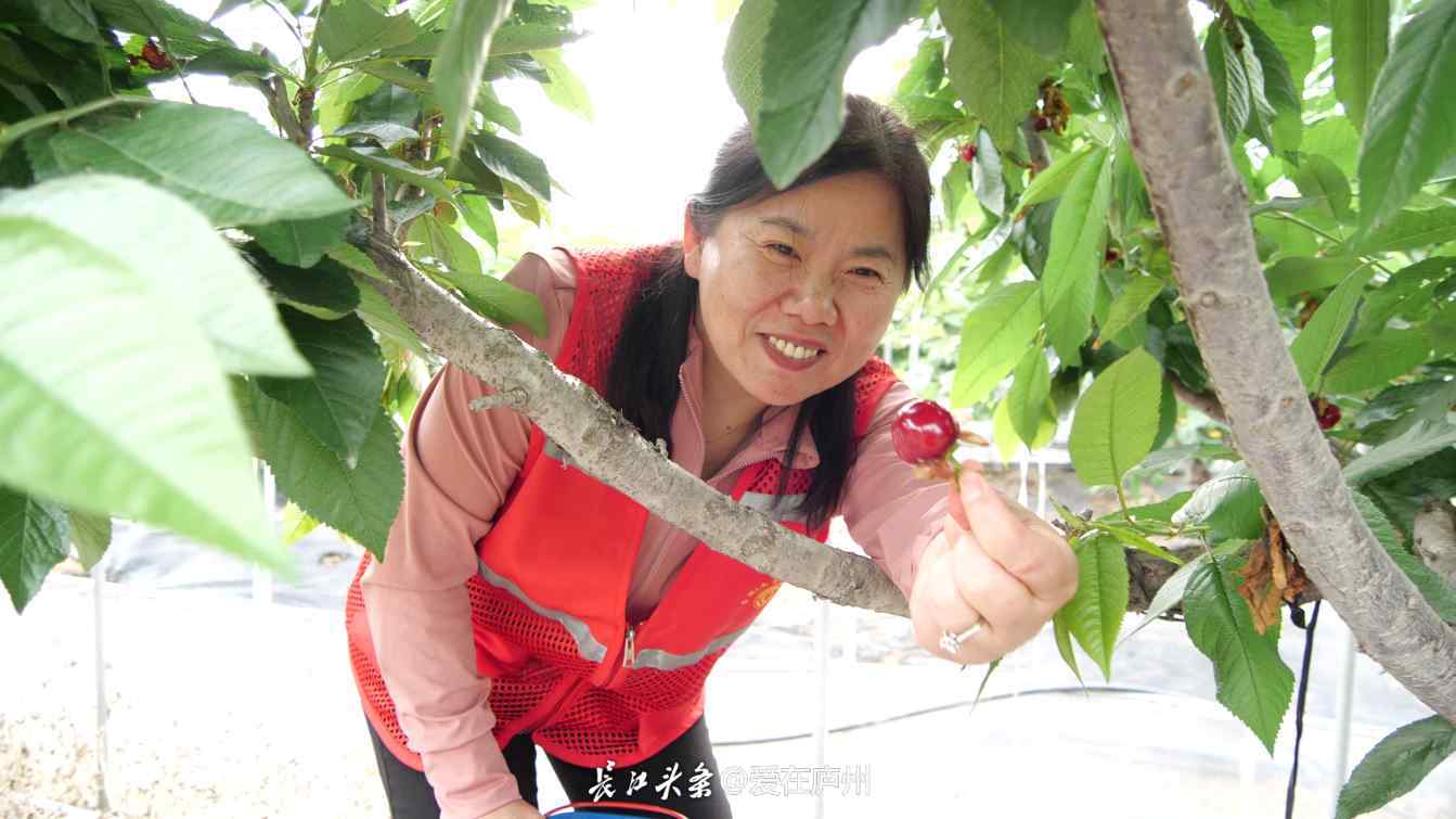 Compress_P1347471[00_00_01][20250512-161241].jpg