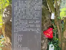 http://oss.cjn.cn/images/20250514/174722562123376ca4d58-83d6-4fd2-b3c7-5da509432522.jpg