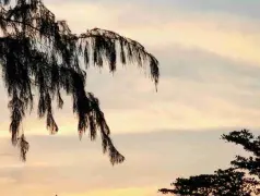 http://oss.cjn.cn/images/20250515/1747309566801d6482d7e-30d2-481d-9993-a8a65a0a7150.jpg