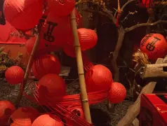 http://oss.cjn.cn/images/20250517/1747433550484729b38e1-58a7-42b2-aacd-7de75205d87f.jpg