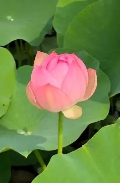 http://oss.cjn.cn/images/20250517/17474340989586cb7e5ef-31bf-4fe1-9e65-c4538dbb1f4e.jpg